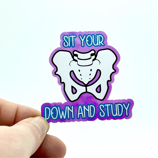 Sit Your (Pelvis) Down and Study (Purple) Medical, Nursing, PT Student Waterproof Sticker